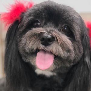 Meet your Posher, Brooke